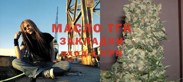 твердый Верхний Тагил