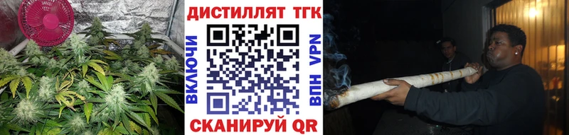 купить закладку  Подольск  ТГК концентрат 