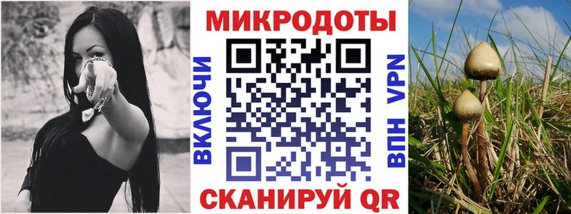 Псилоцибиновые грибы Cubensis  дарнет шоп  Подольск 