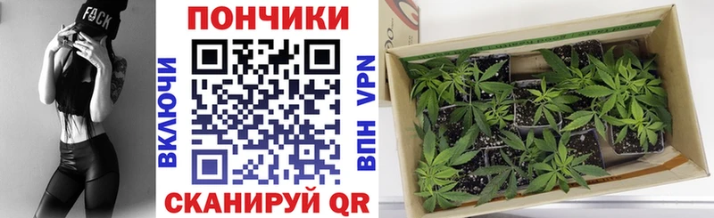 Бошки Шишки AK-47 Подольск